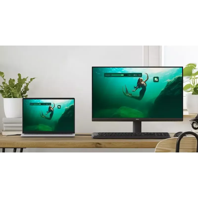 DELL SE2425HM Computer-Monitor 60,5 cm (23,8 Zoll) 1920 x 1080 Pixel Full HD LCD Schwarz