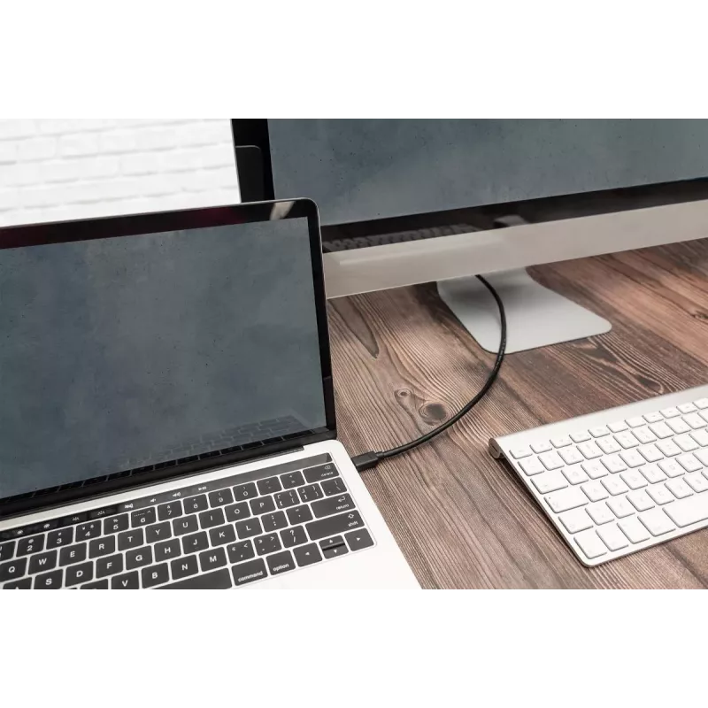 DIGITUS USB Type-C Verbindungskabel, type C to C M/M, 1m Gen2 Schwarz (AK-300139-010-S)
