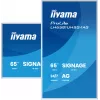 iiyama LH6581UHSG-1AG Signage Display Digital Signage Flachbildschirm 163,8 cm (64,5 Zoll) Wi-Fi 500 cd/m² 4K Ultra HD Weiß Integrierter Prozessor Android 24/7