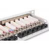 DIGITUS Patchpanel CAT6A EA geschirmt, 24-Port RJ45 Staubschutz, 8P8C, 0,5U, grau RAL 7035