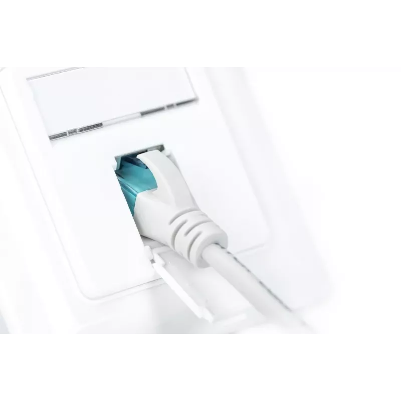 DIGITUS CAT6A Klasse EA Netzwerkdose, geschirmt 1x RJ45, LSA, reinweiß, Unterputz, 8 Richtungen