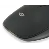 Conceptronic REGAS01B Maus Büro Beidhändig USB Typ-A Optisch 1200 DPI