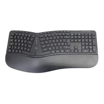 Conceptronic ORAZIO ERGO Kabelloses ergonomisches Tastatur- und Maus-Set, deutsches Layout