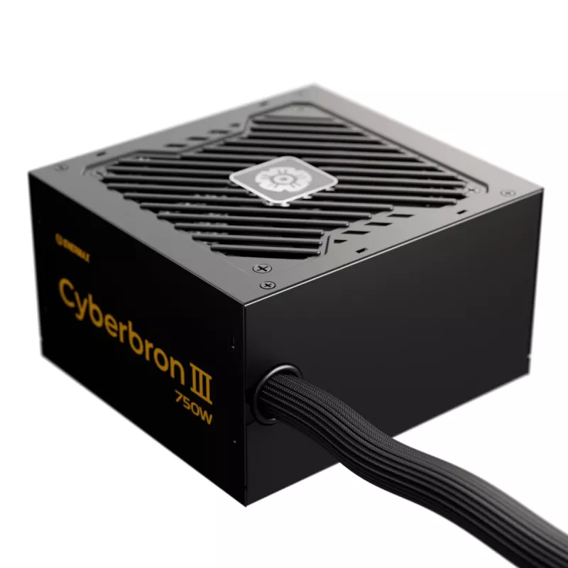 Netzteil ENERMAX EMB750EWT-NAC 750 W, ATX 20+4 pin, Non-Modular, 80 PLUS Bronze, Schwarz, 120 mm Lüfter