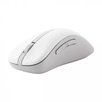 ASUS Wireless MD102 Maus Universal Rechtshändig RF Wireless + Bluetooth Optisch 1600 DPI