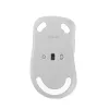 ASUS Wireless MD102 Maus Universal Rechtshändig RF Wireless + Bluetooth Optisch 1600 DPI