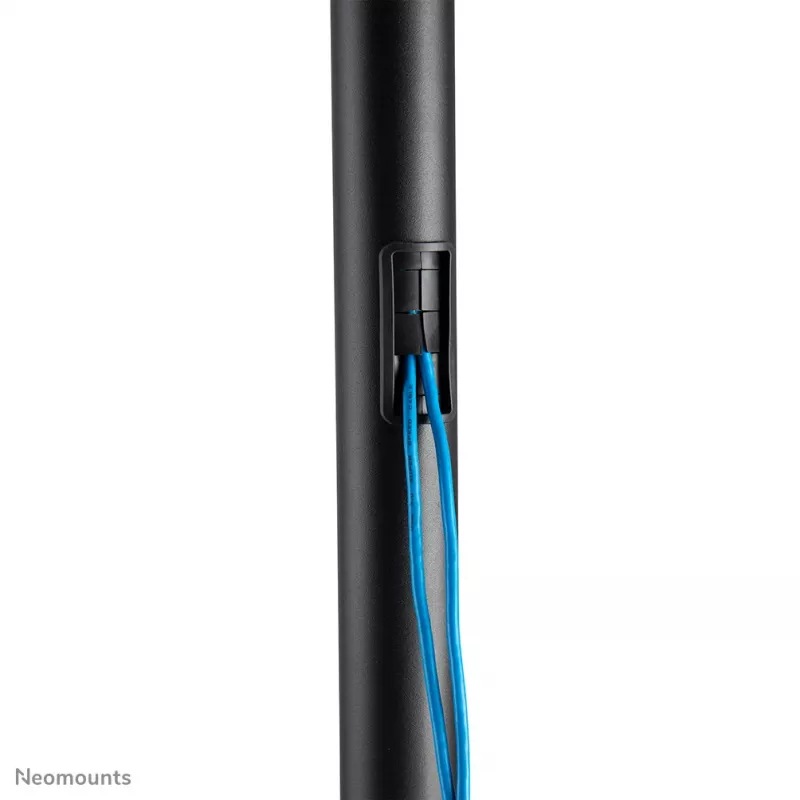 Neomounts FL50-550BL1 TV-Wagen 37-70 Zoll, Schwarz, Tragbarer Bodenständer, Edelstahl, 50 kg, 94 cm (37 Zoll), 177,8 cm (70 Zoll)