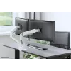 Neomounts DS70S-950WH2 Monitorarm 17-35 Zoll - Gasfeder - Topfix - 180°-Stopp