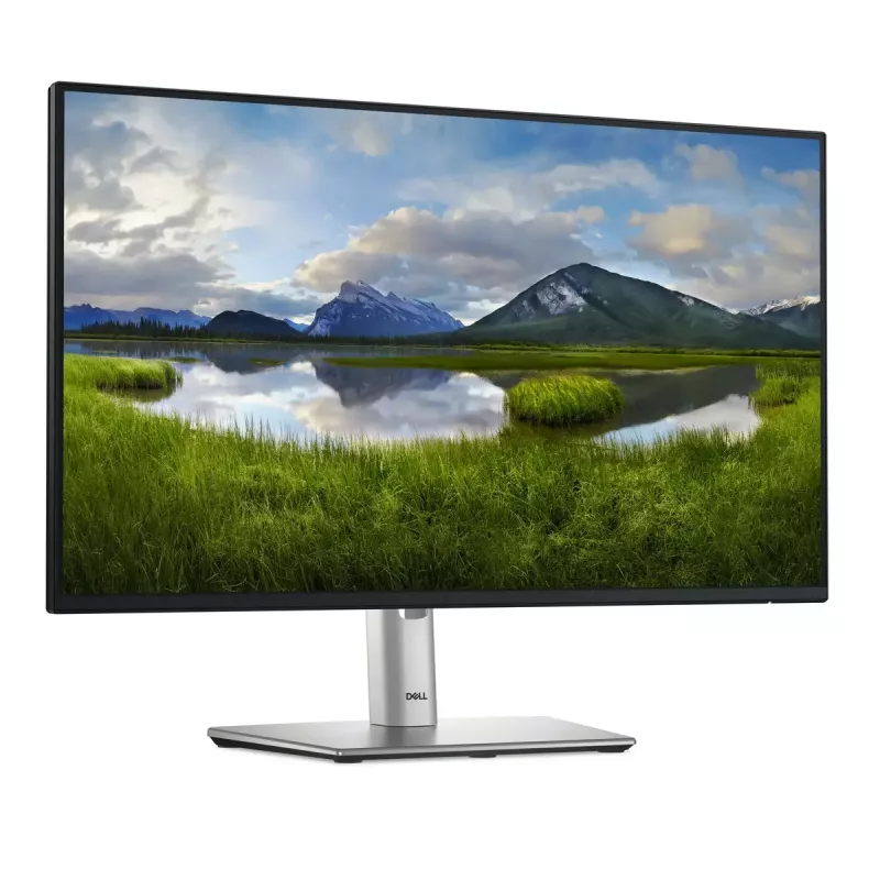 DELL Pro Plus P2425HE Computer-Monitor 60,5 cm (23,8 Zoll) 1920 x 1080 Pixel Full HD LCD Schwarz