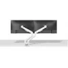 Neomounts DS70-250WH2 Monitorhalterung 17-32 Zoll - Gasdruckfeder - Topfix - 180°-Stopp