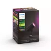 Philips Hue White and Colour Ambiance Lily Außenstrahler