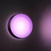 Außenwandleuchte Philips Hue White and colour ambience Daylo