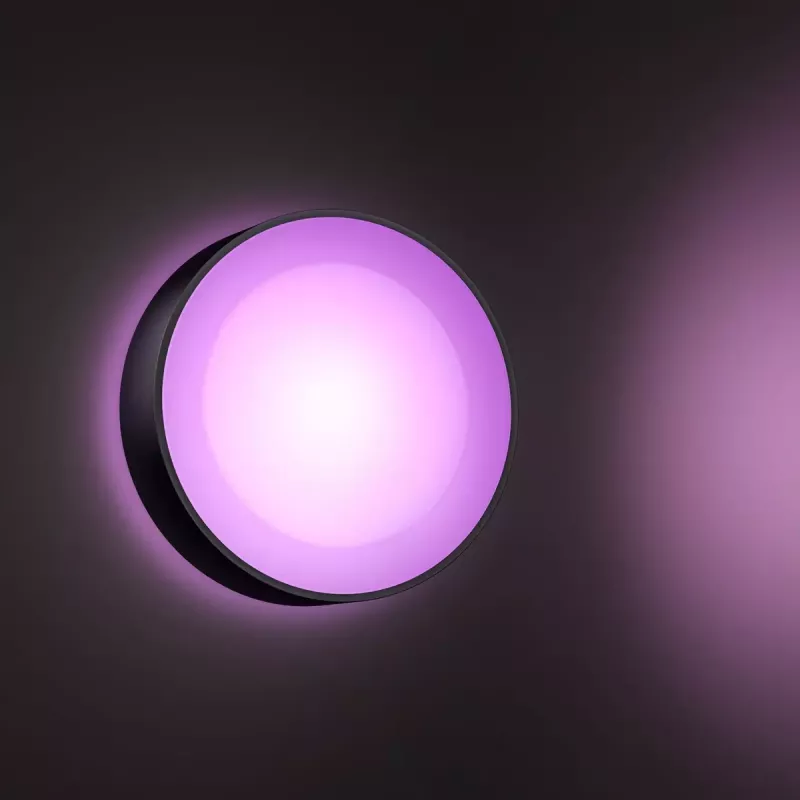 Außenwandleuchte Philips Hue White and colour ambience Daylo