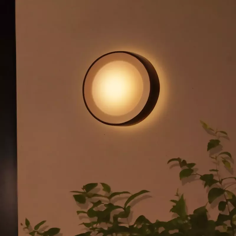 Außenwandleuchte Philips Hue White and colour ambience Daylo