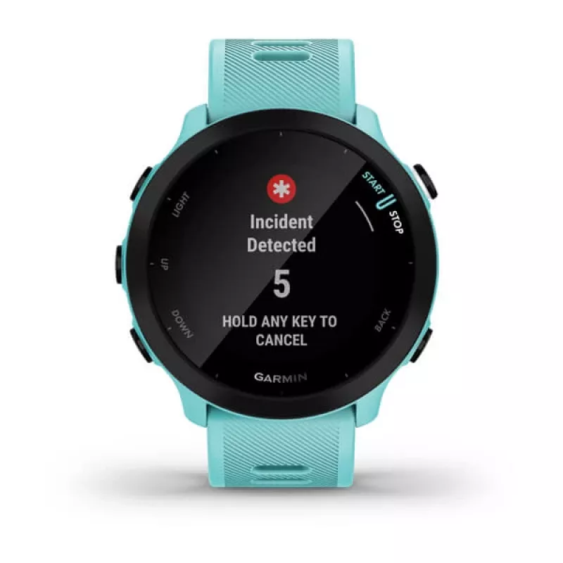 GARMIN INTERNATIONAL Forerunner 55 Lauf-Smartwatch - Aqua