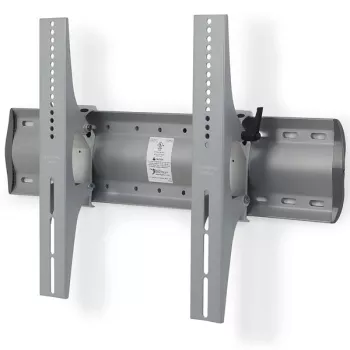 ERGOTRON Tm Neigbare Wandhalterung (Silber) (61-142-003)