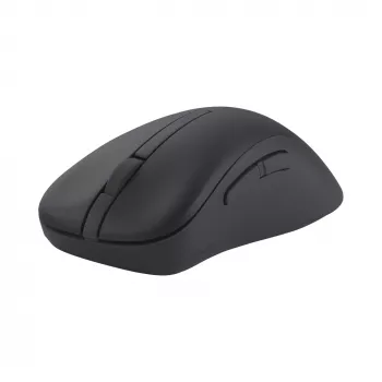 ASUS Wireless MD102 Maus Universal Rechtshänder RF Wireless + Bluetooth Optisch 1600 DPI