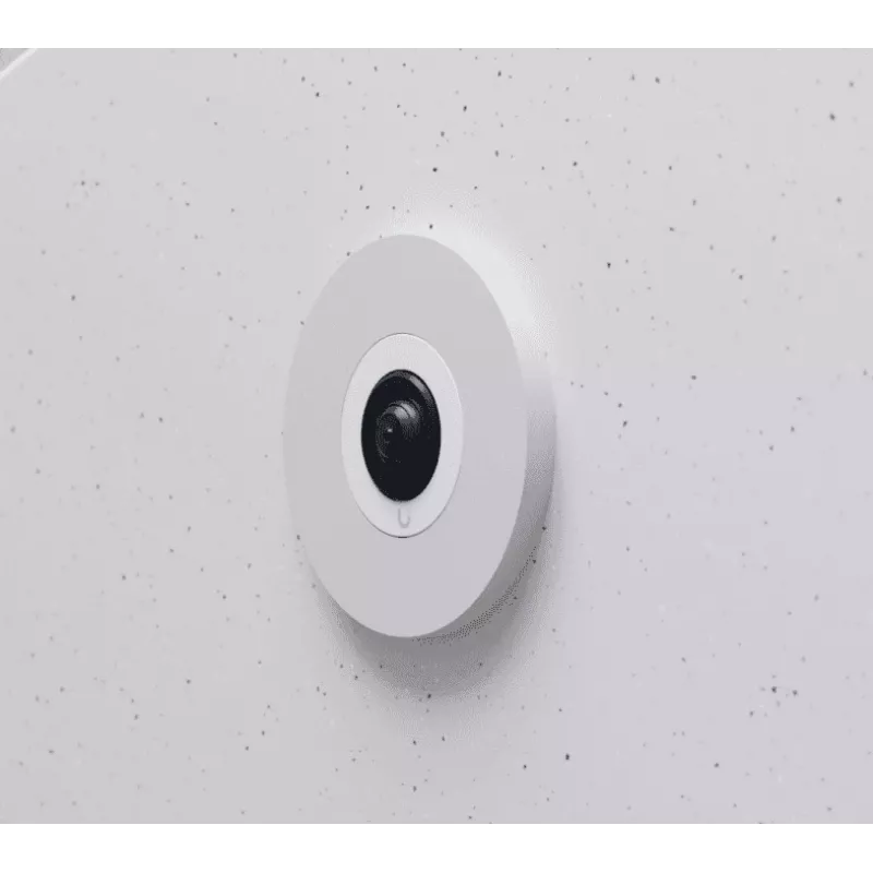 IP-Überwachungskamera Ubiquiti AI Theta Professional 2160 x 2160