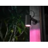 Smart-Abhängelampe Philips Hue White and Colour Ambience Lily Outdoor Spot Light 1741430P7
