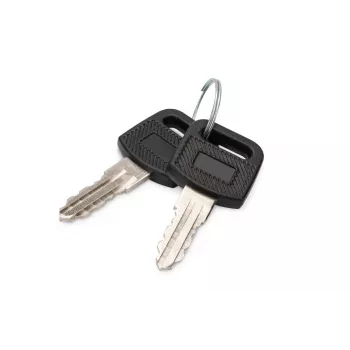 Schließschlüssel für wandmontierte Gehäuse DIGITUS DN-KEY-WM — Dynamic-Serie, SOHO 10 Zoll & 19 Zoll Serie, Ladeschränke (2 Stück)