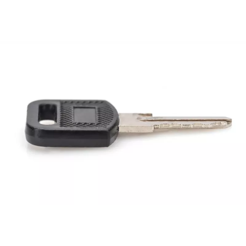 Schließschlüssel für wandmontierte Gehäuse DIGITUS DN-KEY-WM — Dynamic-Serie, SOHO 10 Zoll & 19 Zoll Serie, Ladeschränke (2 Stück)