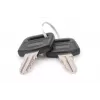 Schließschlüssel für wandmontierte Gehäuse DIGITUS DN-KEY-WM — Dynamic-Serie, SOHO 10 Zoll & 19 Zoll Serie, Ladeschränke (2 Stück)
