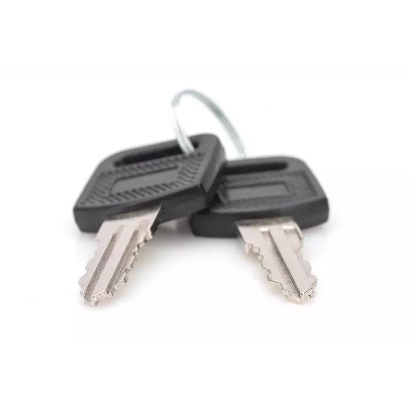 Schließschlüssel für wandmontierte Gehäuse DIGITUS DN-KEY-WM — Dynamic-Serie, SOHO 10 Zoll & 19 Zoll Serie, Ladeschränke (2 Stück)