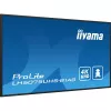 Digital-Signage-Flachbildschirm iiyama LH5075UHS-B1AG 49,5 Zoll LCD 4K Ultra HD 3840 x 2160