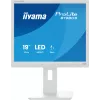 iiyama ProLite B1980S-W1 Computer Monitor 48,3 cm (19 Zoll) 1280 x 1024 Pixel SVGA LED Weiß