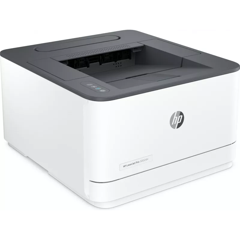 Drucker HP LaserJet Pro 3002dn Laser Grau Weiß