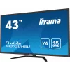 iiyama ProLite X4373UHSU-B1 Computer Monitor 108 cm (42,5 Zoll) 3840 x 2160 Pixel 4K Ultra HD Schwarz