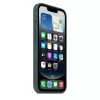 Apple Silicone Hülle iPhone 16e Lake Grün