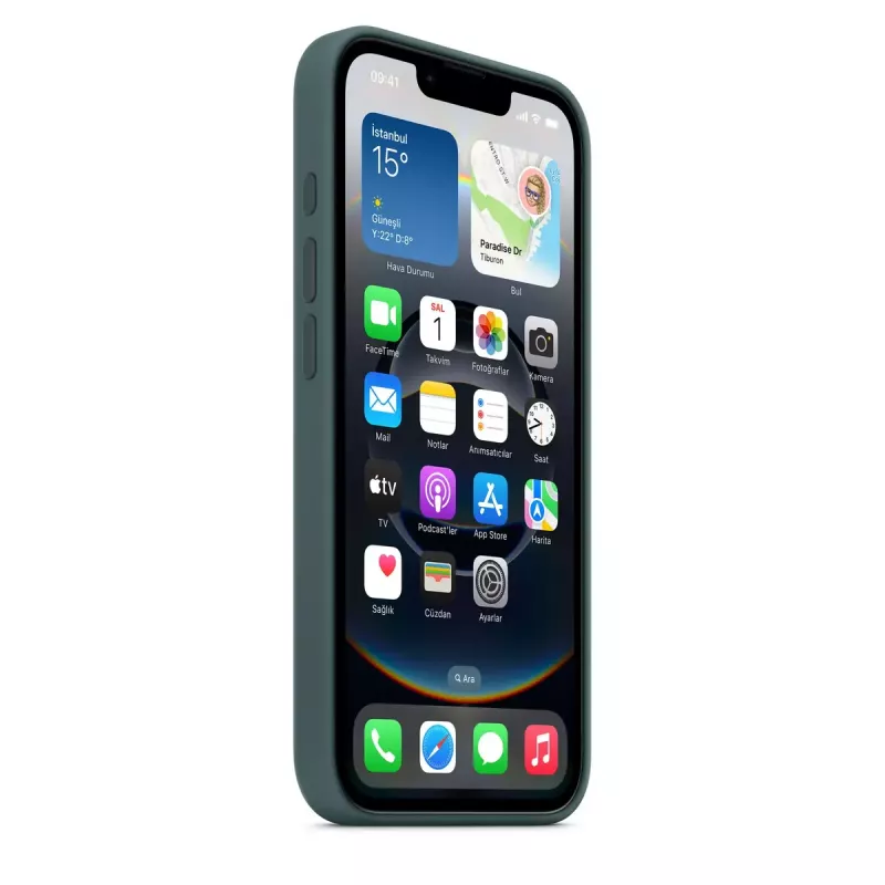 Apple Silicone Hülle iPhone 16e Lake Grün