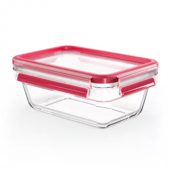 EMSA CLIP & CLOSE N10408 Rechteckige Box 0,85 l Transparent 1 Stück(e)