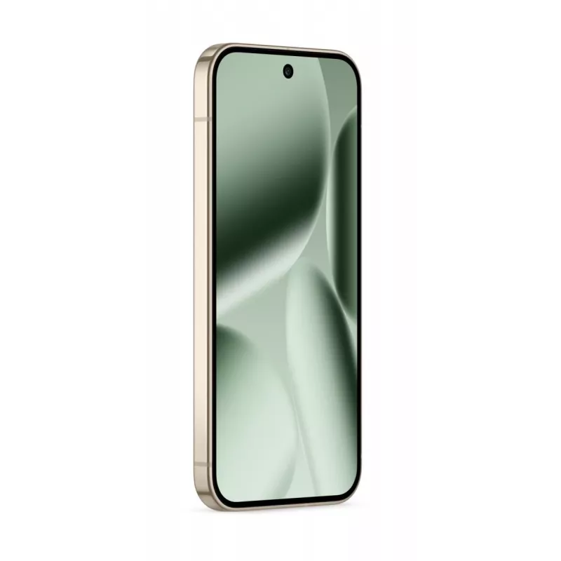 GOOGLE Pixel 10 Pro - Jade - 16GB - 256GB - 6,3 Zoll