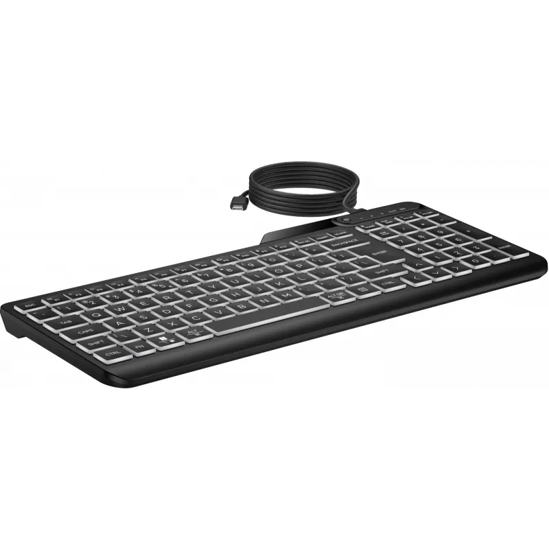 HP 405 Multi-Device Hintergrundbeleuchtete Kabelgebundene Tastatur, Vollgröße (100%), Kabelgebunden, USB, Membran, QWERTY, Schwarz