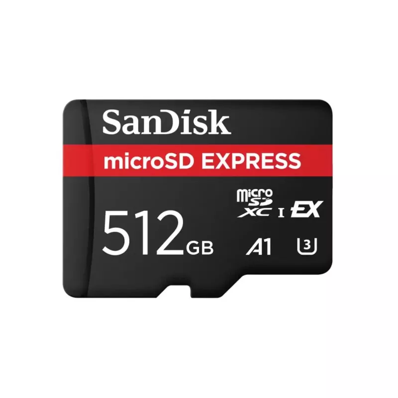 WESTERN DIGITAL Express microSD-Karte 256 GB – Bis zu 880 MB/s Lesegeschwindigkeit, bis zu 650 MB/s Schreibgeschwindigkeit, 210 MB/s nachhaltige Schreibgeschwindigkeit, U3, C10