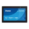 Monitor iiyama TW1625LASC-B3PNR 15.6 Zoll Touchscreen LED 1920x1080