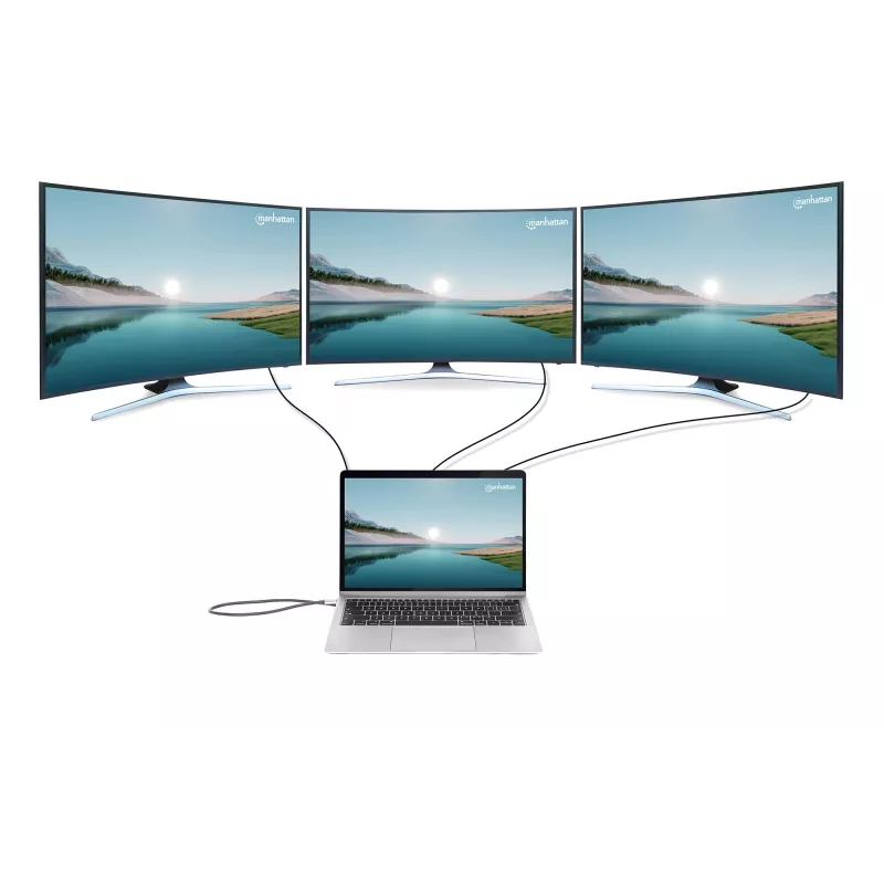 Dock/Hub Manhattan USB-C 10 Ports 4K 60Hz Power Delivery