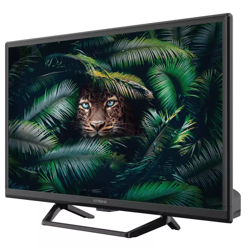 Fernseher Strong SRT 24HE4023C 24 Zoll HD LCD 1366 x 768