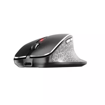 CHERRY MW 8C ERGO Maus Rechtshänder RF Wireless + Bluetooth Optisch 3000 DPI