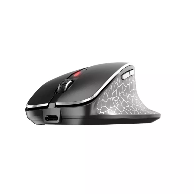 CHERRY MW 8C ERGO Maus Rechtshänder RF Wireless + Bluetooth Optisch 3000 DPI