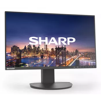 Sharp MultiSync EA271F Computer-Monitor 68,6 cm (27 Zoll) 1920 x 1080 Pixel Full HD LCD Schwarz