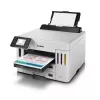 Canon MAXIFY GX5550 Tintenstrahldrucker Farbe 600 x 1200 DPI A4 Wi-Fi