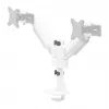 Neomounts DS65S-950WH2 Monitorarm 24-34 Zoll - Gasfeder - Topfix - mehrfach verstellbar - 180°-Stopp