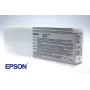 Epson Einzelpackung Light Light Schwarz T591900, Light light Schwarz, Pigmenttinte, 700 ml, 1 Stück