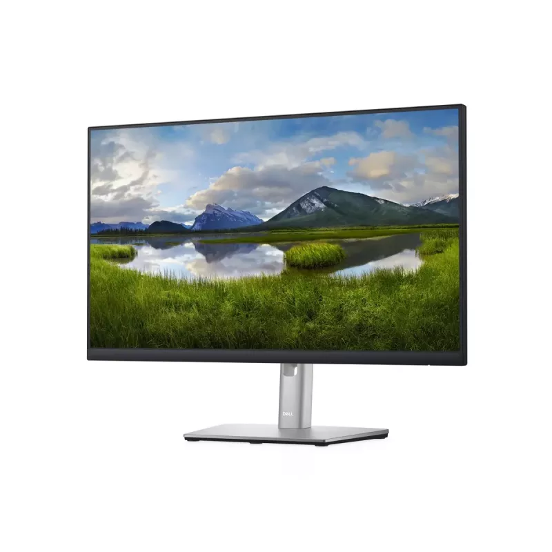 Monitor DELL P Series P2422H 23,8 Zoll Full HD LCD 1920 x 1080