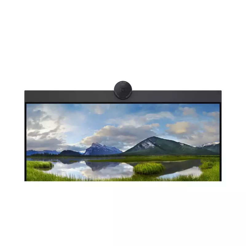 DELL P2424HEB 60,5 cm (23,8 Zoll) LCD 1920 x 1080 Pixel Full HD