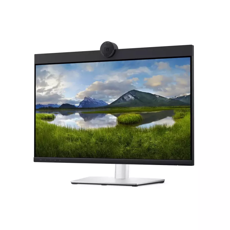 DELL P2424HEB 60,5 cm (23,8 Zoll) LCD 1920 x 1080 Pixel Full HD