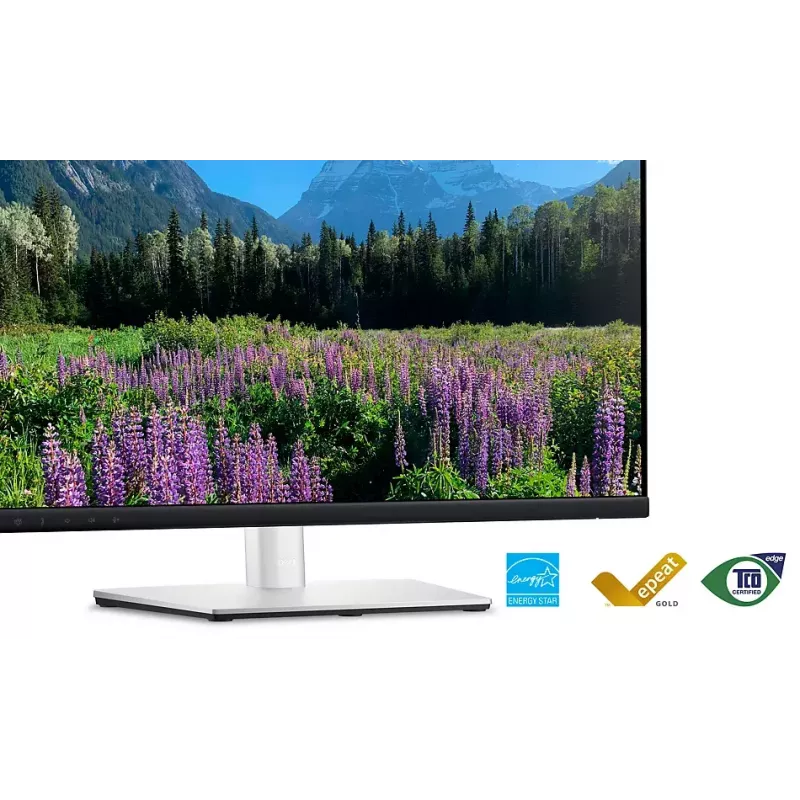 DELL P2424HEB 60,5 cm (23,8 Zoll) LCD 1920 x 1080 Pixel Full HD